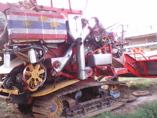 ไอ้หนุ่ม 6HE BO ใบแมคโครไหม่ ไอ้หนุ่ม 6HE BO ใบแมคโครไหม่