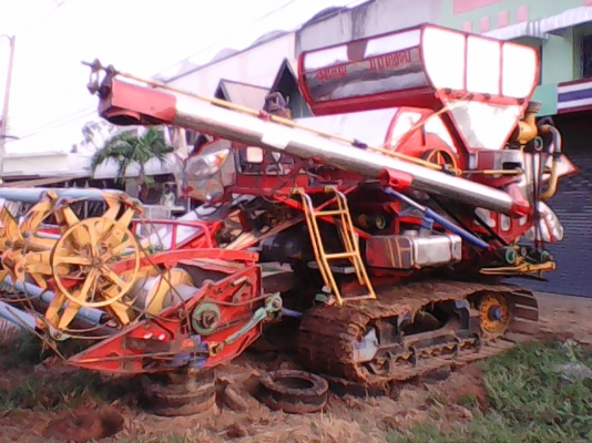 ไอ้หนุ่ม 6HE BO ใบแมคโครไหม่ ไอ้หนุ่ม 6HE BO ใบแมคโครไหม่