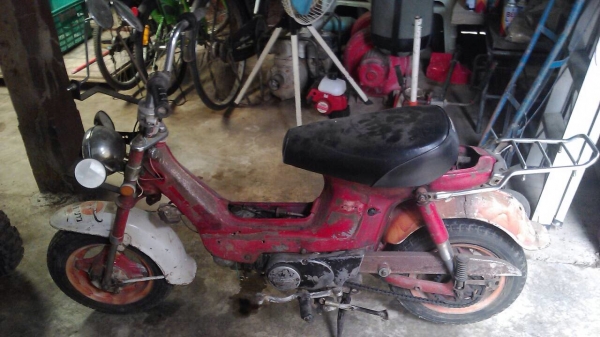 ขาย Honda chaly