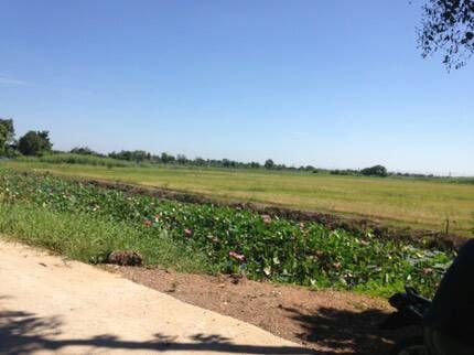 ขายที่ดิน