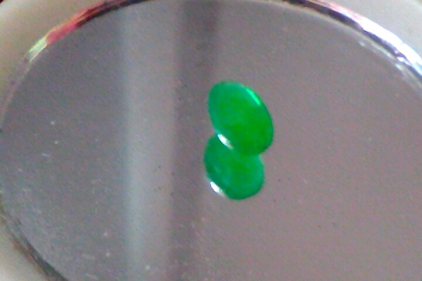 มรกตแท้ Natural Emerald