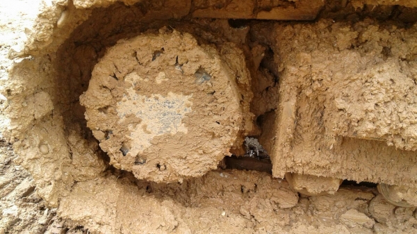 ขาย แบคโฮ CAT 320D ปี 55 รถสวยเต็มทุกอย่าง ใช้งานน้อยแค่ 4,622 ชม. เอกสารเล่มทะเบียนครบ ราคาต่อรองได้ครับ