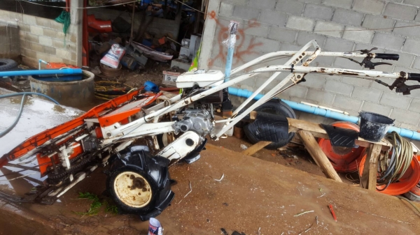 ขายรถเกี่ยวข้าวเดินตาม