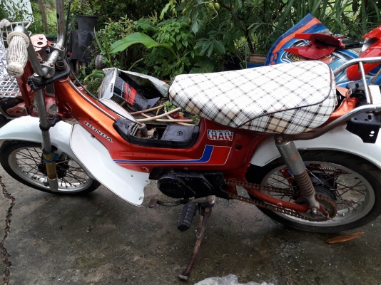 ขายชาลี แต่ง