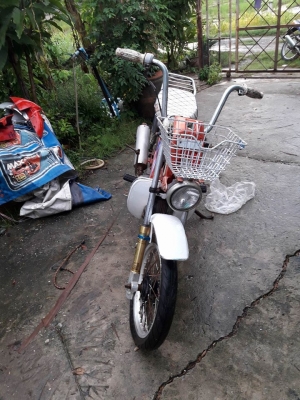 ขายชาลี แต่ง