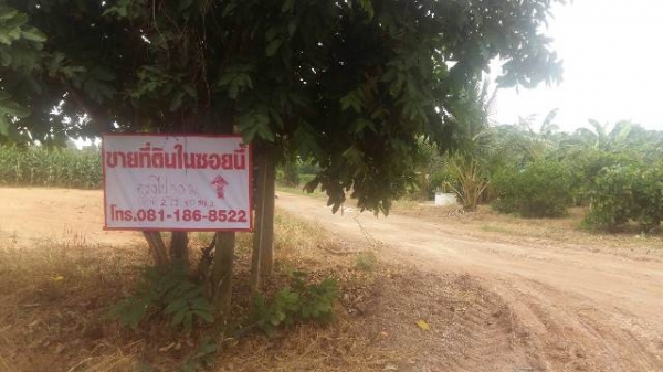 ทางเข้าที่ดินตรงข้ามที่ทำการกองทุนหมู่บ้านหนองสองห้อง อ.พนมสารคาม ทางเข้าที่ดินตรงข้ามที่ทำการกองทุนหมู่บ้านหนองสองห้อง อ.พนมสารคาม