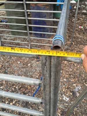 คอกแป๊บปะปารถตอนเดียว