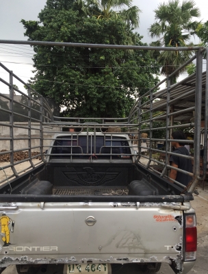 คอกแป๊บปะปารถตอนเดียว