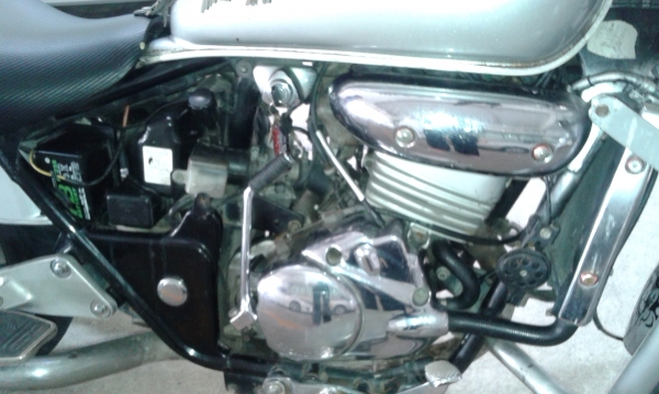 แฟนทอม ปี43