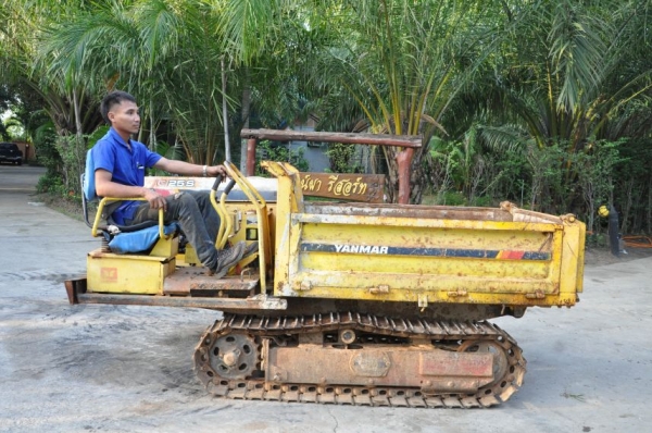 ขายรถบรรทุกดั้มเปอร์YANMAR C25S ตีนตะขาบแทรคเหล็กสวย สวยเดิมจากญี่ปุ่นยังไม่เคยใช้ในไทย 125,000เท่าน ขายรถบรรทุกดั้มเปอร์YANMAR C25S ตีนตะขาบแทรคเหล็กสวย สวยเดิมจากญี่ปุ่นยังไม่เคยใช้ในไทย 125,000เท่าน