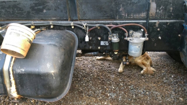 ขาย3Mสภาพนางฟ้าครับดั้มสามมิตรเครื่องเกียสโลเดิมๆครับ