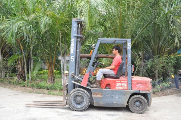 ((ลดกระหน่ำ))ขายFORKLIFT NISSAN FD25ดีเซล ใหม่สุด(2.5ตัน) เสา4เมตร สวยเดิมจากญี่ปุ่น ยังไม่เคยใช้ในไทย 190,000เท่านั้น!!