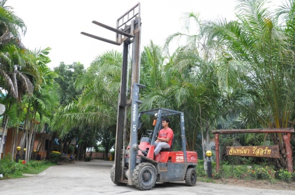 ((ลดกระหน่ำ))ขายFORKLIFT NISSAN FD25ดีเซล ใหม่สุด(2.5ตัน) เสา4เมตร สวยเดิมจากญี่ปุ่น ยังไม่เคยใช้ในไทย 190,000เท่านั้น!!