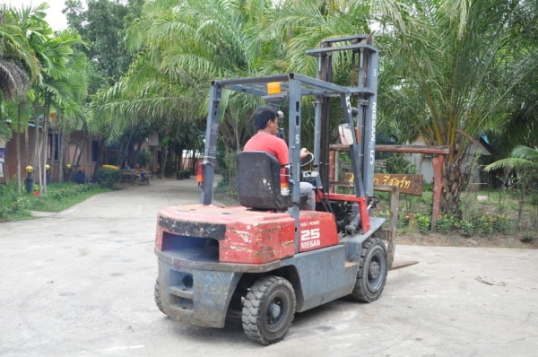((ลดกระหน่ำ))ขายFORKLIFT NISSAN FD25ดีเซล ใหม่สุด(2.5ตัน) เสา4เมตร สวยเดิมจากญี่ปุ่น ยังไม่เคยใช้ในไทย 190,000เท่านั้น!!