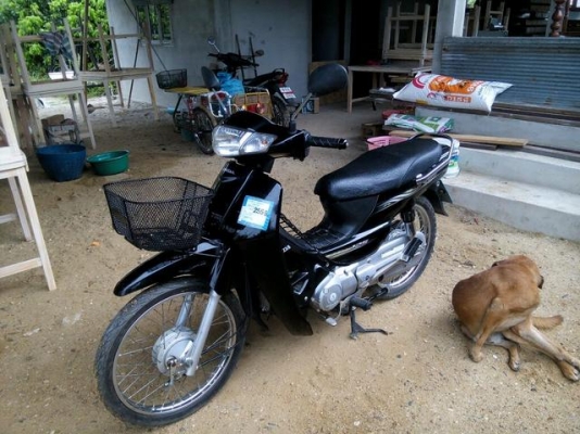 ดรีม 125 ปี 50 เดิมๆ