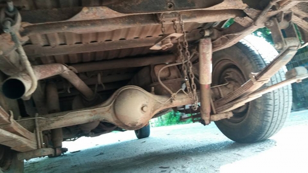 มังกรทอง