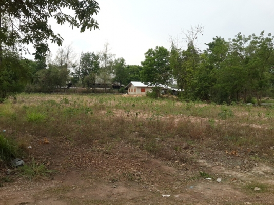 ทางเข้าที่ดินตรงข้ามที่ทำการกองทุนหมู่บ้านหนองสองห้อง ตำบล บ้านช่อง อ.พนมสารคาม จ.ฉะเชิงเทรา
