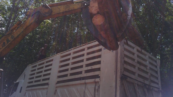 ขายรถแบคโฮ KOMATSU PC40-6 หัวคีปไม้กับบุ้งกี๋ พร้อมหางลาก ราคา 300000