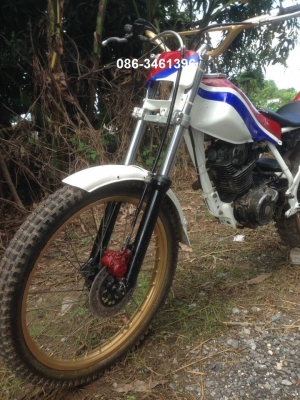 TLR200   200cc ขายแล้วครับ