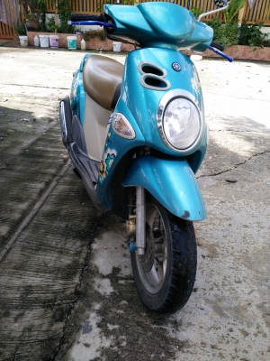 ฟีโอเล่