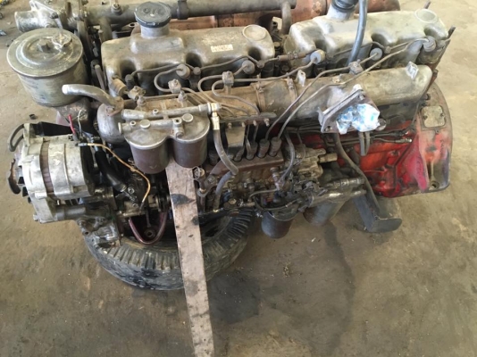 -ขายแล้ว-