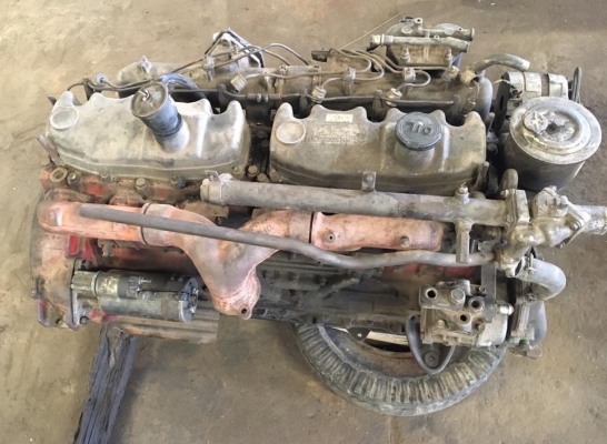 -ขายแล้ว-