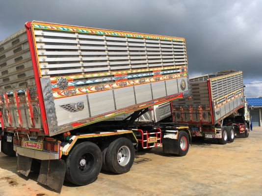 ขายด่วนรถพ่วง320พ่วงดั้มเนียมอู่เบิ้ม ปี51 ลูก3เพลา บรรทุกข้าว