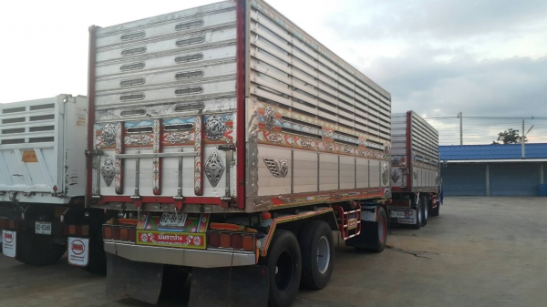 ขายด่วนรถพ่วง320พ่วงดั้มเนียมอู่เบิ้ม ปี51 ลูก3เพลา บรรทุกข้าว