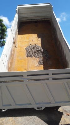 ขายฮีโน่เมก้า ขายฮีโน่เมก้า