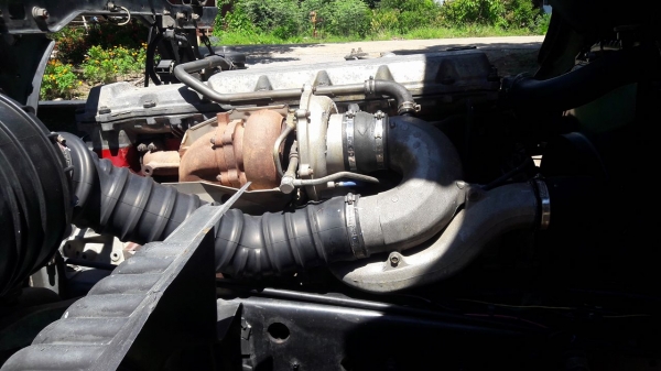 ขายฮีโน่เมก้า