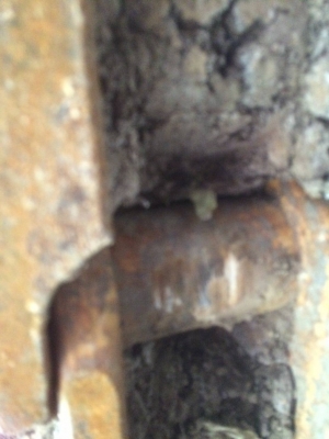 ขายรถแบคโฮ KOMATSU PC200-2 ราคา 450000