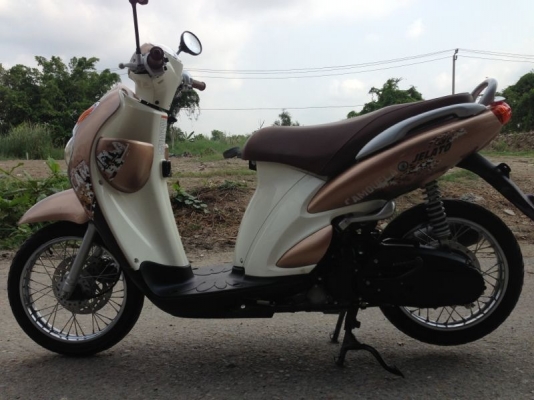 ขายjelato สีน้ำตาลทอง ปี2555