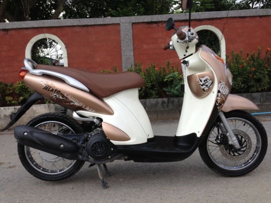 ขายjelato สีน้ำตาลทอง ปี2555