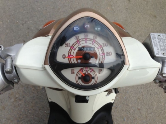 ขายjelato สีน้ำตาลทอง ปี2555