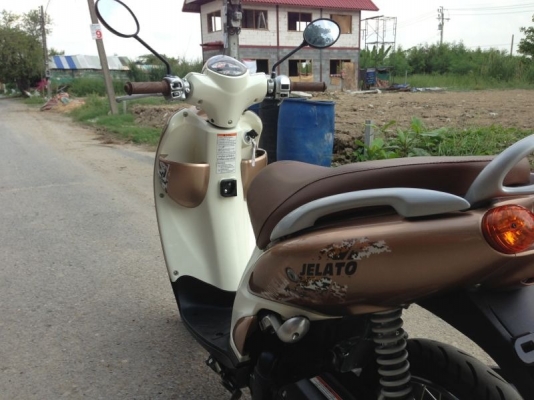 ขายjelato สีน้ำตาลทอง ปี2555