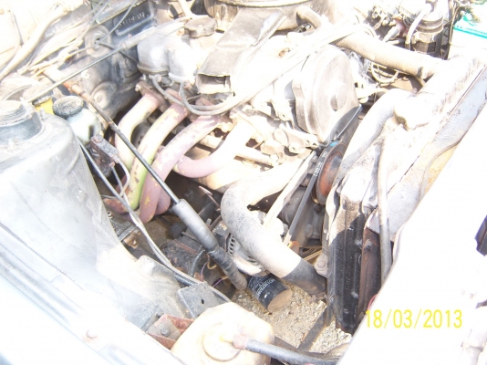 ขาย มิสซูกาเเล้นท์ ขาย มิสซูกาเเล้นท์