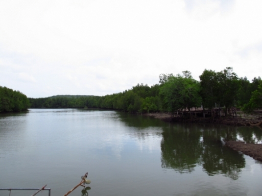 ที่ดิน ติดทะเลและถนนใหญ่ จังหวัดพังงา