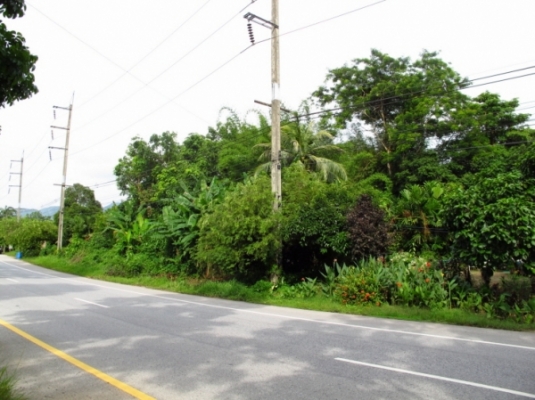 ที่ดิน ติดทะเลและถนนใหญ่ จังหวัดพังงา