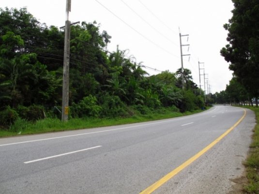 ที่ดิน ติดทะเลและถนนใหญ่ จังหวัดพังงา