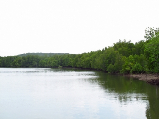ที่ดิน ติดทะเลและถนนใหญ่ จังหวัดพังงา