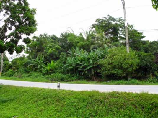 ที่ดิน ติดทะเลและถนนใหญ่ จังหวัดพังงา