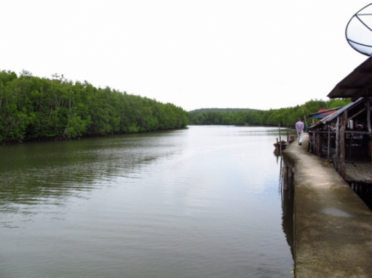 ที่ดิน ติดทะเลและถนนใหญ่ จังหวัดพังงา