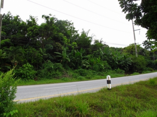 ที่ดิน ติดทะเลและถนนใหญ่ จังหวัดพังงา