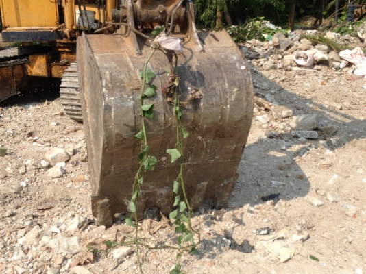 Sumitomo 265 พร้อมหัวเจาะ พร้อมใช้งาน Sumitomo 265 พร้อมหัวเจาะ พร้อมใช้งาน