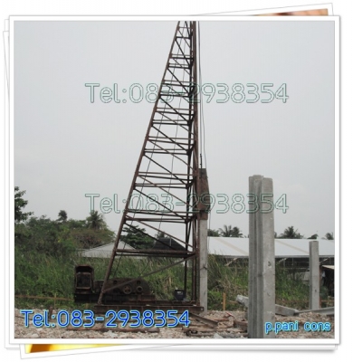 ขายปั้นจั่น 15 เมตร