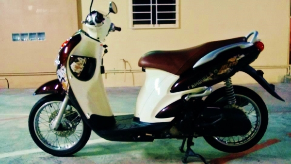 Jelato 2012 นํ้าตาล ราคาถูก ต่อรองได้ เกรด A Jelato 2012 นํ้าตาล ราคาถูก ต่อรองได้ เกรด A