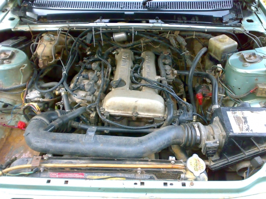 ขายเปอโย505 GR ต้วใหญ่ ขายเปอโย505 GR ต้วใหญ่