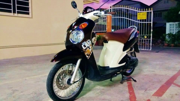 Jelato 2012 นํ้าตาล ลดล้างสต๊อค 22000 บาท เกรด A