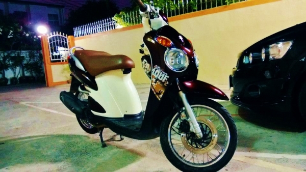 Jelato 2012 นํ้าตาล ลดล้างสต๊อค 22000 บาท เกรด A