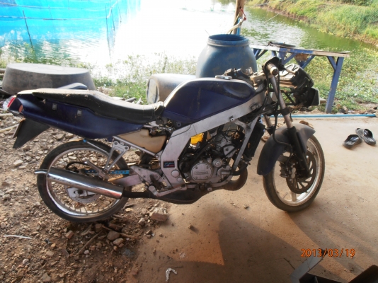 ขาย Serpico SS150    7000บาทไทย